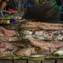 에이플러스호스텔 이미지