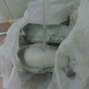 깨끗한 운동화 이미지