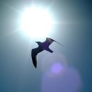 땅김의원 | [스크랩] 간도는 우리땅