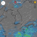 인피니티블루오션 이미지