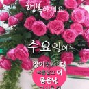 꽃날 이미지