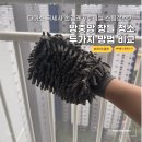 스팀코리아 | 방충망 창틀 청소 다이소 손걸레 vs 비쎌 스팀청소기, 두 가지 방법 비교