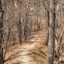 대송면 운제산등산로 | 포항 운제산 시루봉, 대각리~산여봉~동자봉~망뫼봉~시루봉