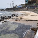 주문5리 이미지