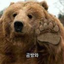 호타루초밥