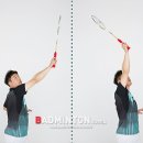 하이크리어 이미지
