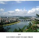 팔도미인
