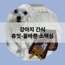 펫스낵스 | [강아지 간식] 오래먹일 수 있는 간식이 필요하다면? 츄잇 꿀바른 소떡심