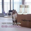 스마트홈 - 광진구 능동로47길 30 | 고양이 자동급식기 추천｜헤이홈 스마트 펫 급식기 4개월 사용후기