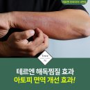 테르엔 이미지