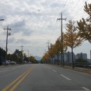 신북읍사무소 이미지