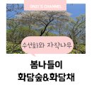 화담숲 - 봄 수선화 축제, 예약, 위치, 주차, 입장료, 화담채, 기념품(아이랑 가기 좋은 곳)