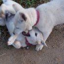 섬진강어울펜션 이미지