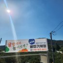 창천감귤농장