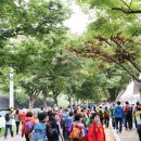 청송군민운동장 이미지