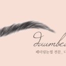 다움스킨 이미지