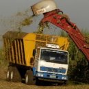 The Biofuel Debate: Good, Bad or Too Soon to Tell? 이미지