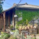 꽃신민박 이미지