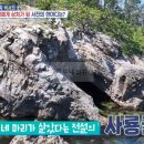 스테이사룡 이미지