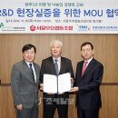 서울축산 이미지