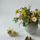 어스디자인스튜디오 이미지