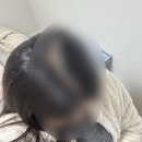25년 개정 컴퓨터활용능력1급 실기 합격 후기 #1 시나공, 커미조아, 유동균 인강 후기