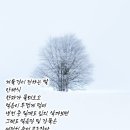 겨울 시... 겨울강이 전하는 말 / 안재식 이미지