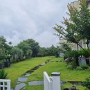 채우리네 이미지