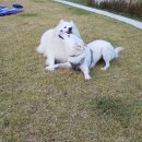 홍천힐링하우스 이미지