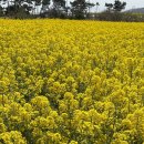 3596 | [포항]구룡포맛집 ‘새천년회대게’ 포항대게 스페셜코스 후기(포항물회까지 완벽)