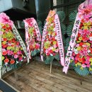 스타 반려견 교육센터 이미지