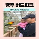 경주 버드파크 먹이주기 체험 아이랑 실내 가볼만한 곳