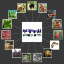 부광 농장 이미지