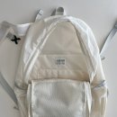 블루퍼피 | 네이키드니스 에어립 퍼피 백팩 오프화이트 후기 with 왓츠인마이백