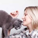 놀아줘PC 이미지