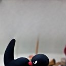 천성산국민체육센터 수영장 이미지