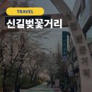 [여행] 서울 숨은 벚꽃 명소 조용한 벚꽃길, 신길벚꽃거리