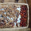 영지농장 이미지