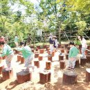 봄 숲으로 가자 이미지