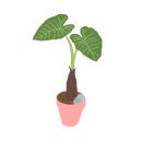 화일초등학교병설유치원 이미지