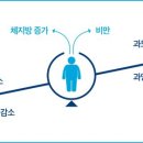 비비파라다이스짐 이미지