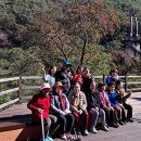 무장애숲 이미지