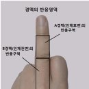 (주)경맥 이미지