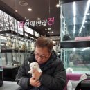 내 품안의 반려견(강서점) | 내품안의반려견 강서점 말티즈 분양후기