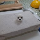 반려동물 양모 초상화 만들기 | [산본] 달문이공방 귀염뽀짝 반려견 양모펠트 키링 만들기