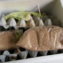 자동차주치의 닥터윤 이미지