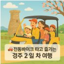 비고리조트 19 | 경주 전동바이크 여행 2일차 후기 – 첨성대 꽃밭부터 황리단길까지 가족 코스 총정리