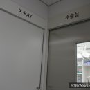 서정동물병원 이미지