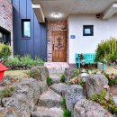 알레제주 이미지