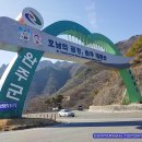 진산자연휴양림캠핑장 이미지